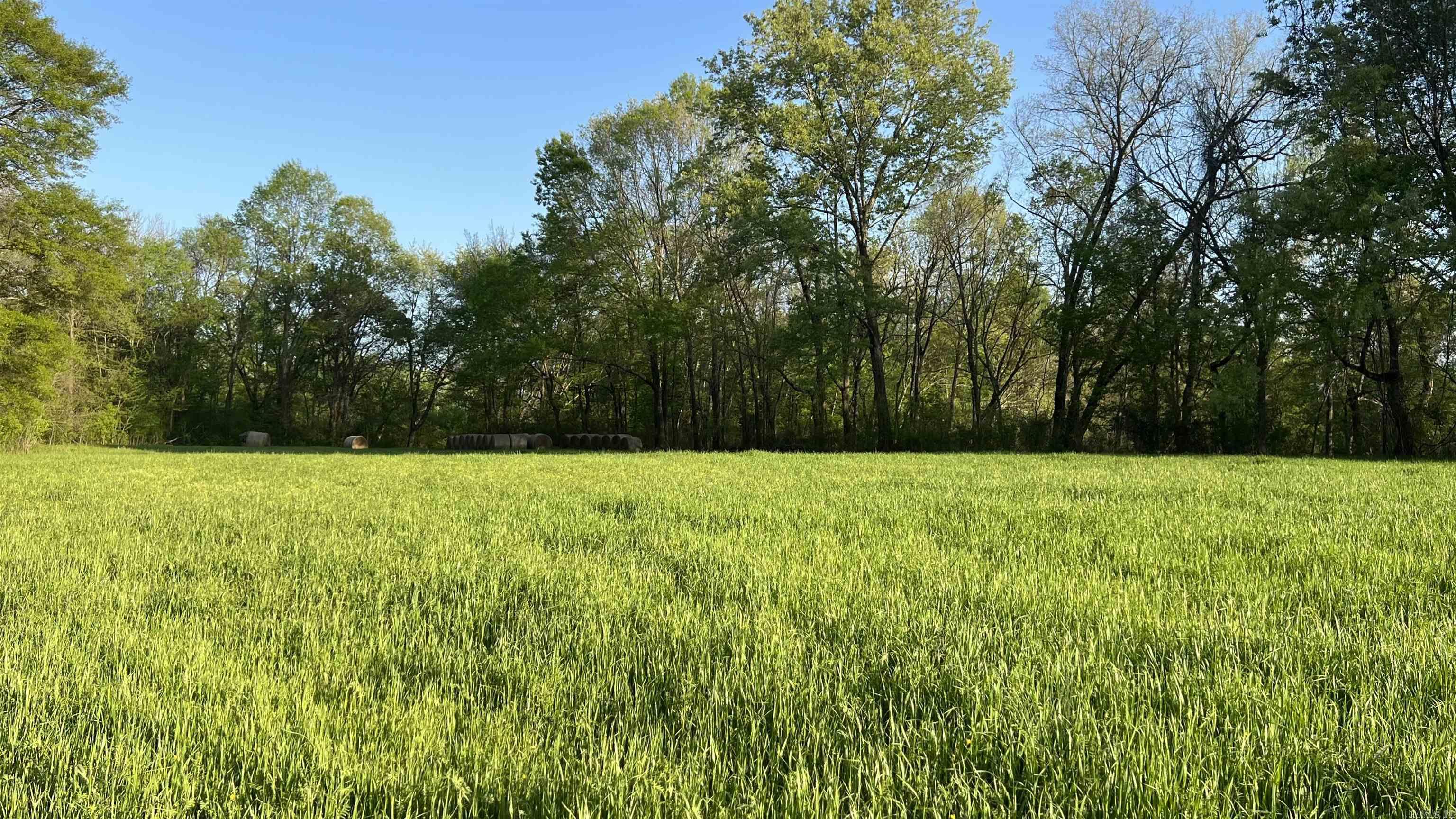 000 State Highway 155 S Property Photo 39
