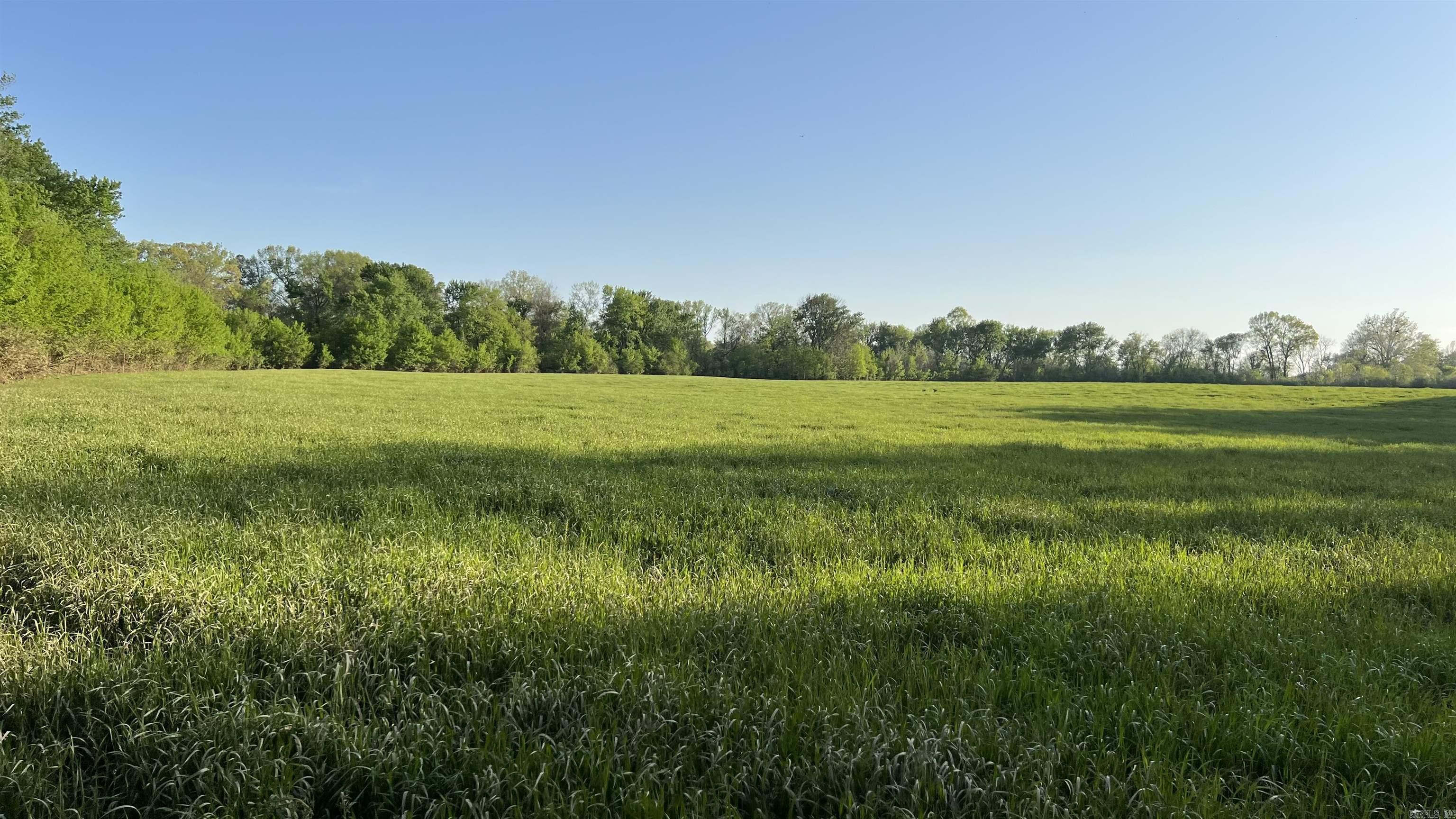 000 State Highway 155 S Property Photo 40
