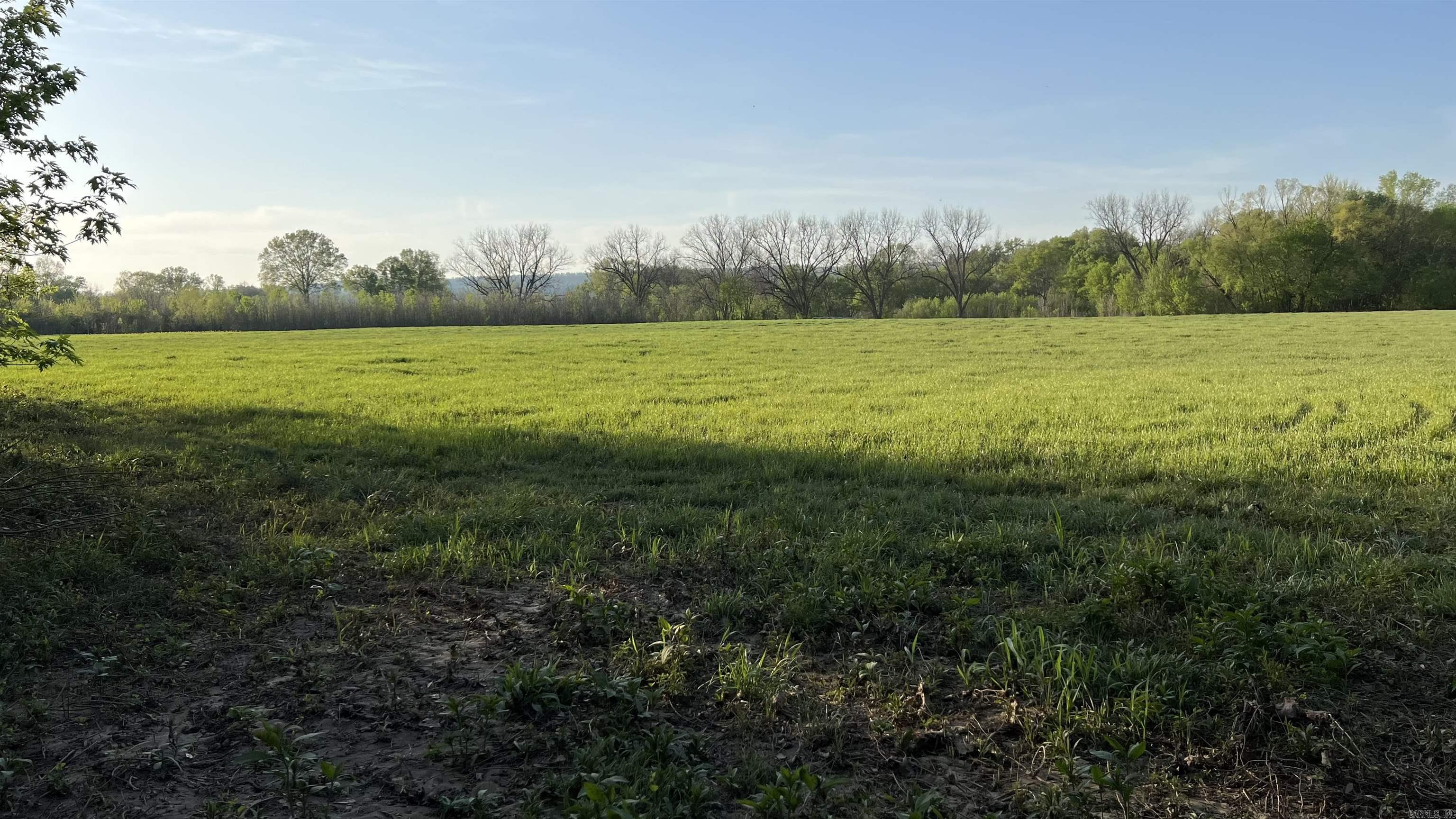000 State Highway 155 S Property Photo 41