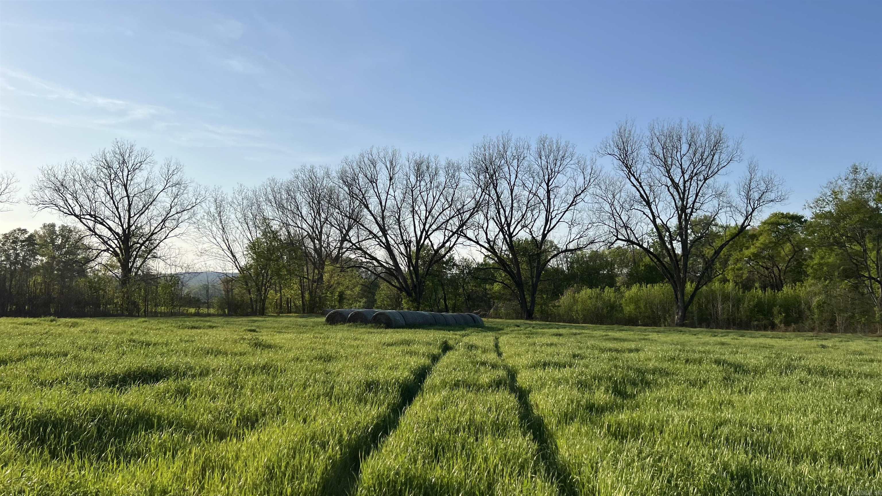 000 State Highway 155 S Property Photo 44