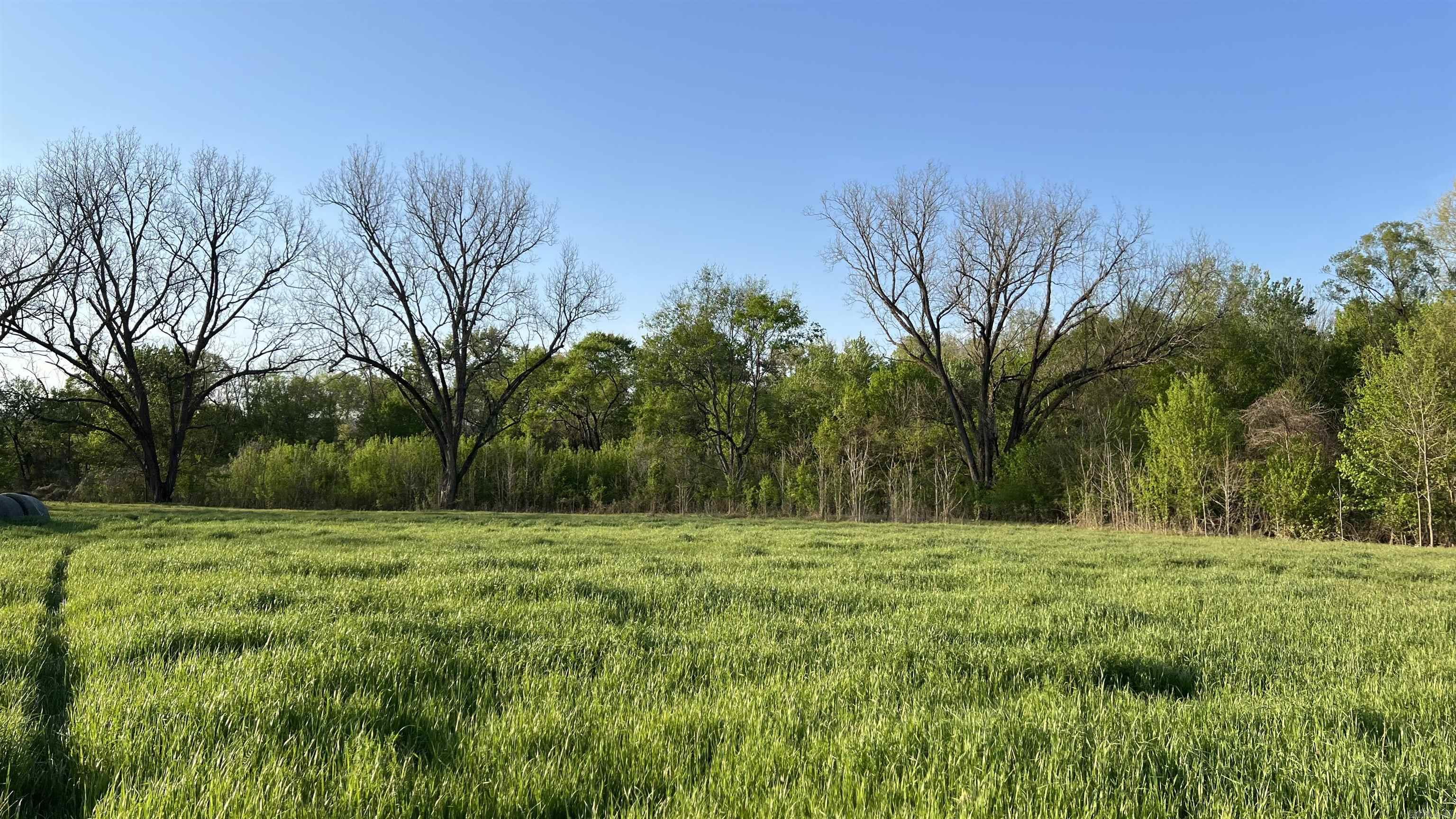 000 State Highway 155 S Property Photo 45