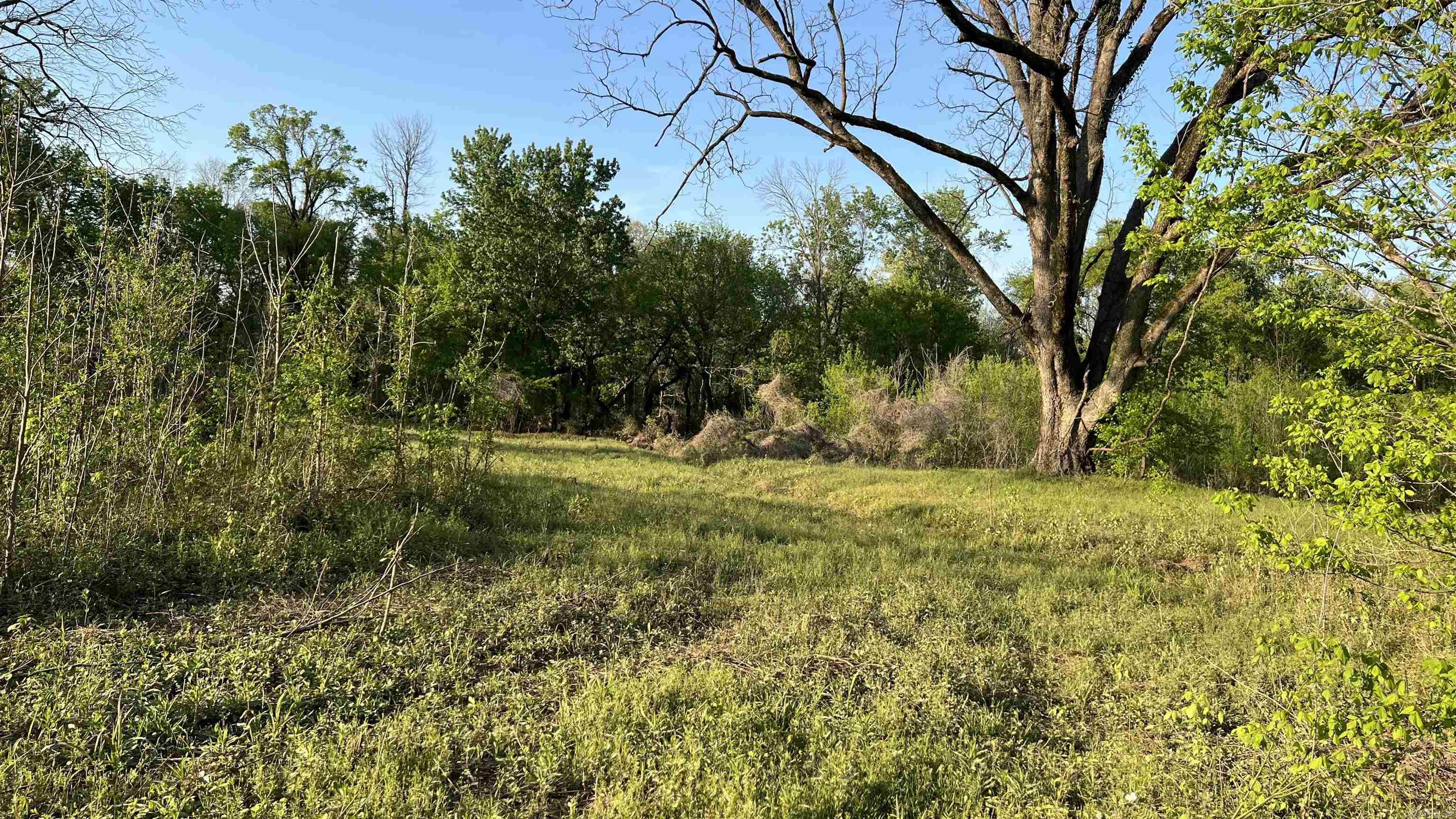 000 State Highway 155 S Property Photo 47