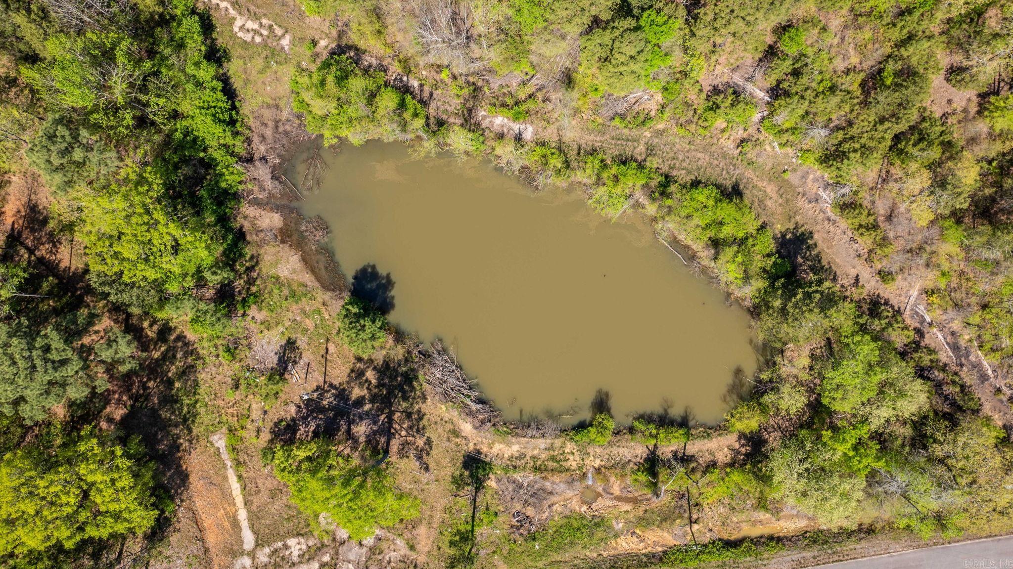 000 Gold Mine Springs Road Property Photo 6