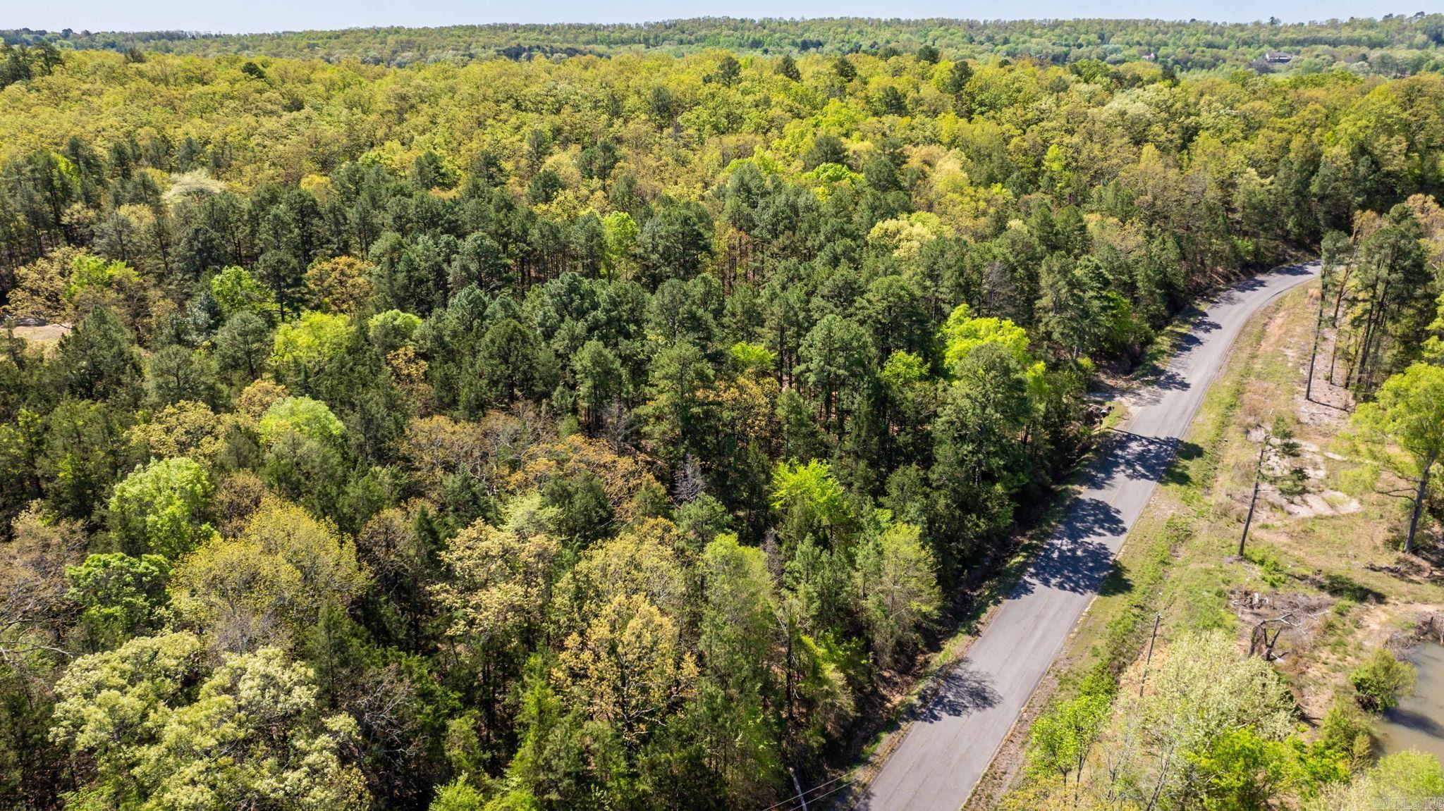 000 Gold Mine Springs Road Property Photo 18