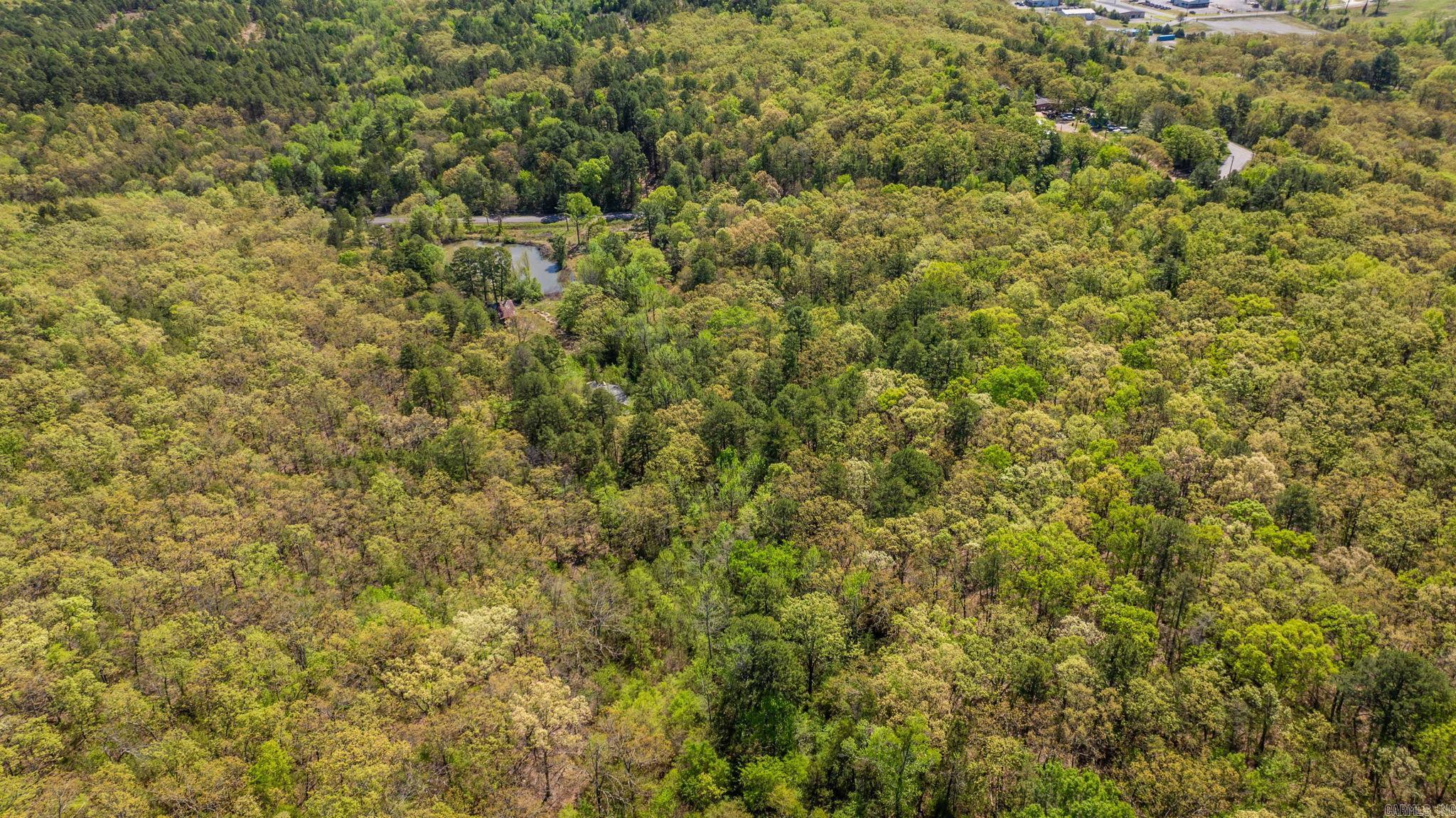 000 Gold Mine Springs Road Property Photo 25