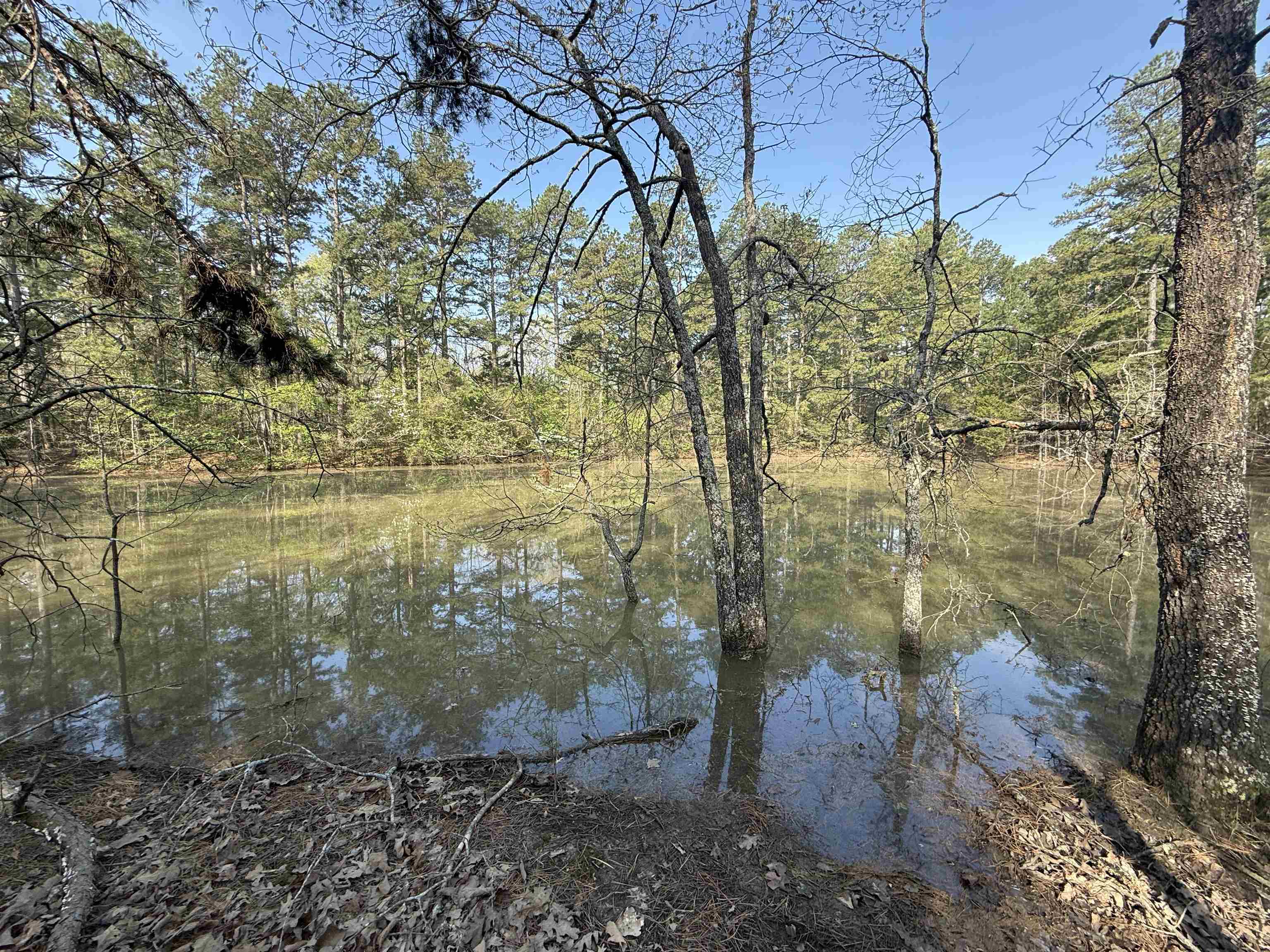 1314 Shoemaker Road Property Photo 1