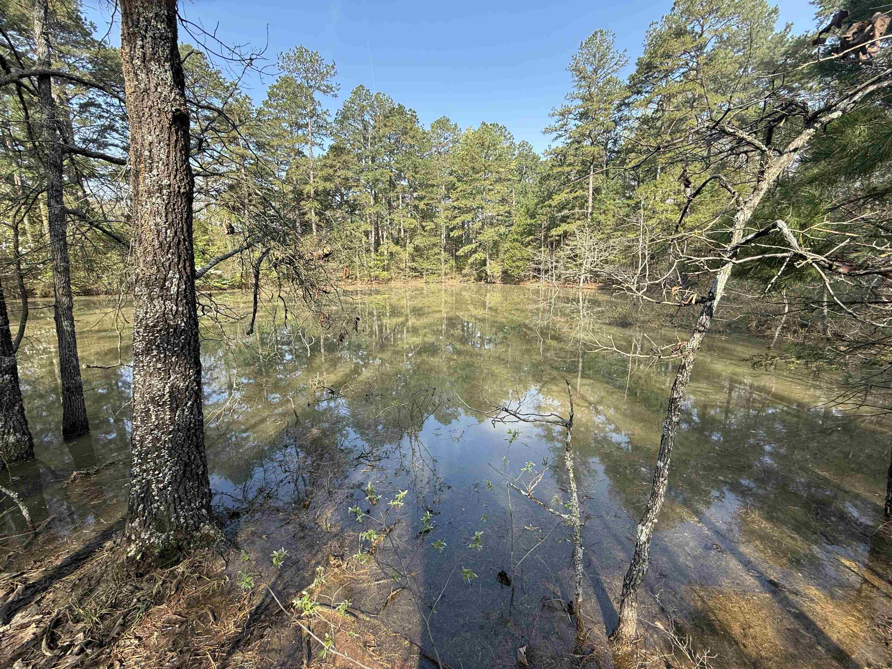 1314 Shoemaker Road Property Photo 3
