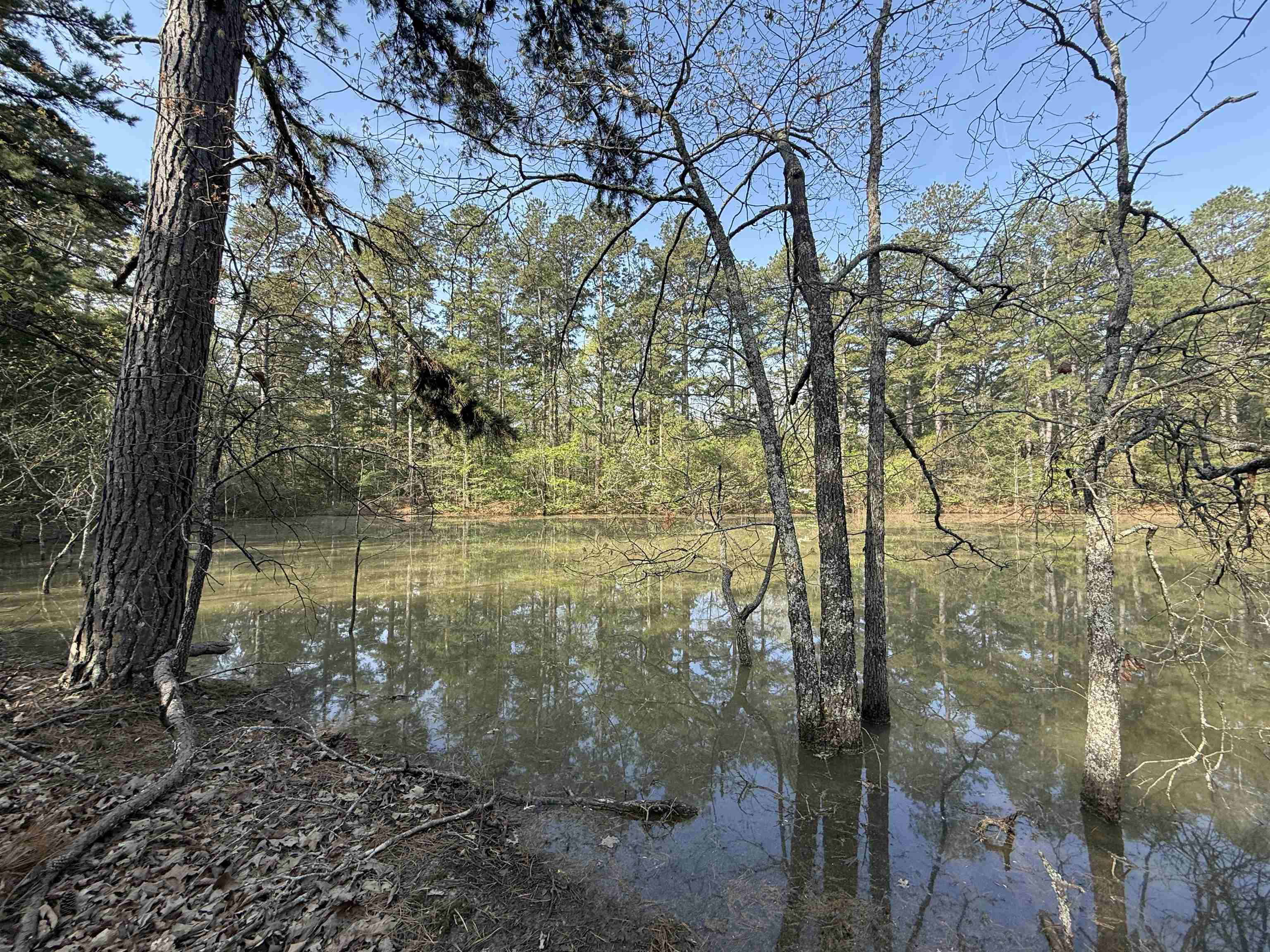 1314 Shoemaker Road Property Photo 4