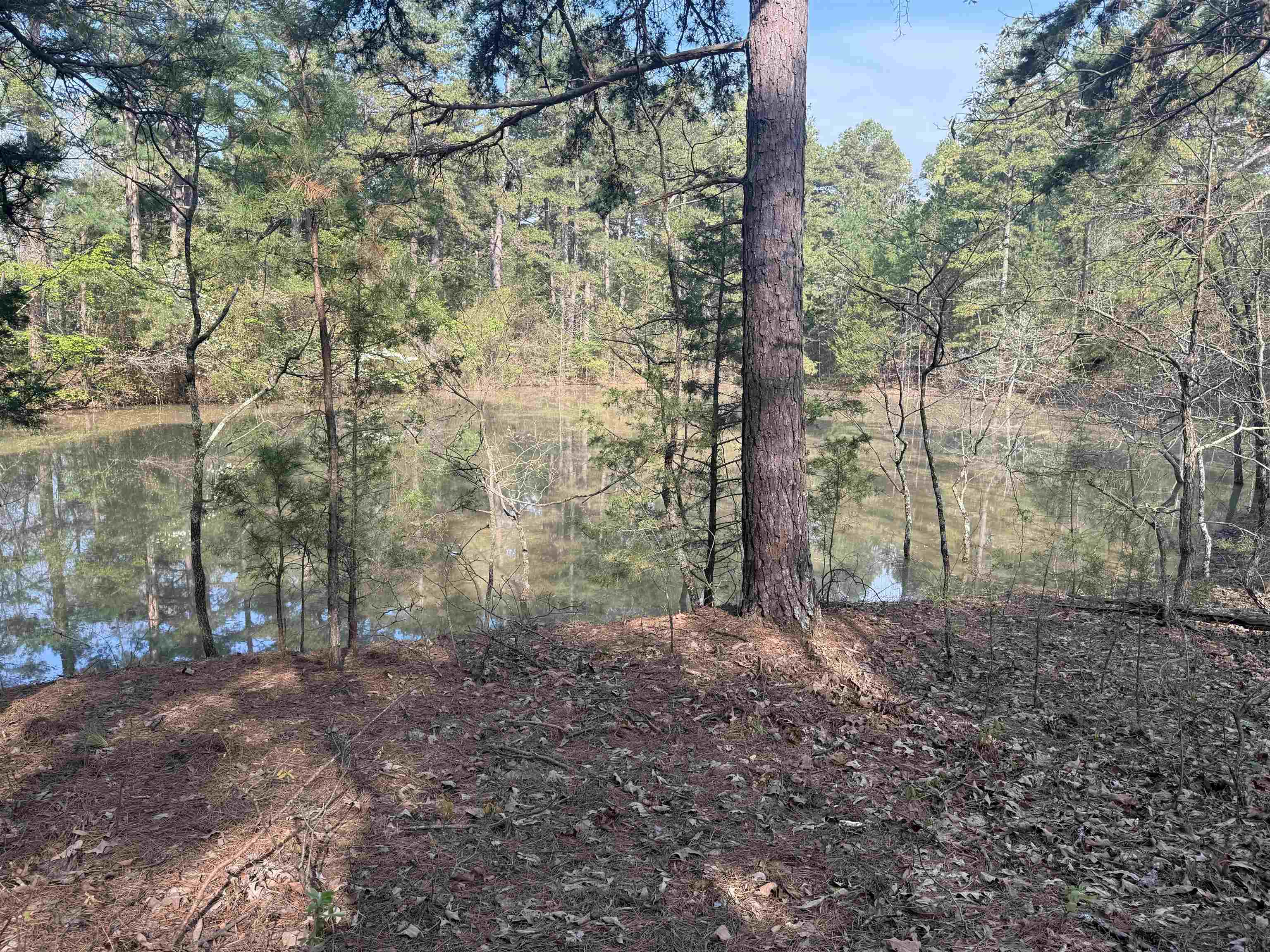 1314 Shoemaker Road Property Photo 5