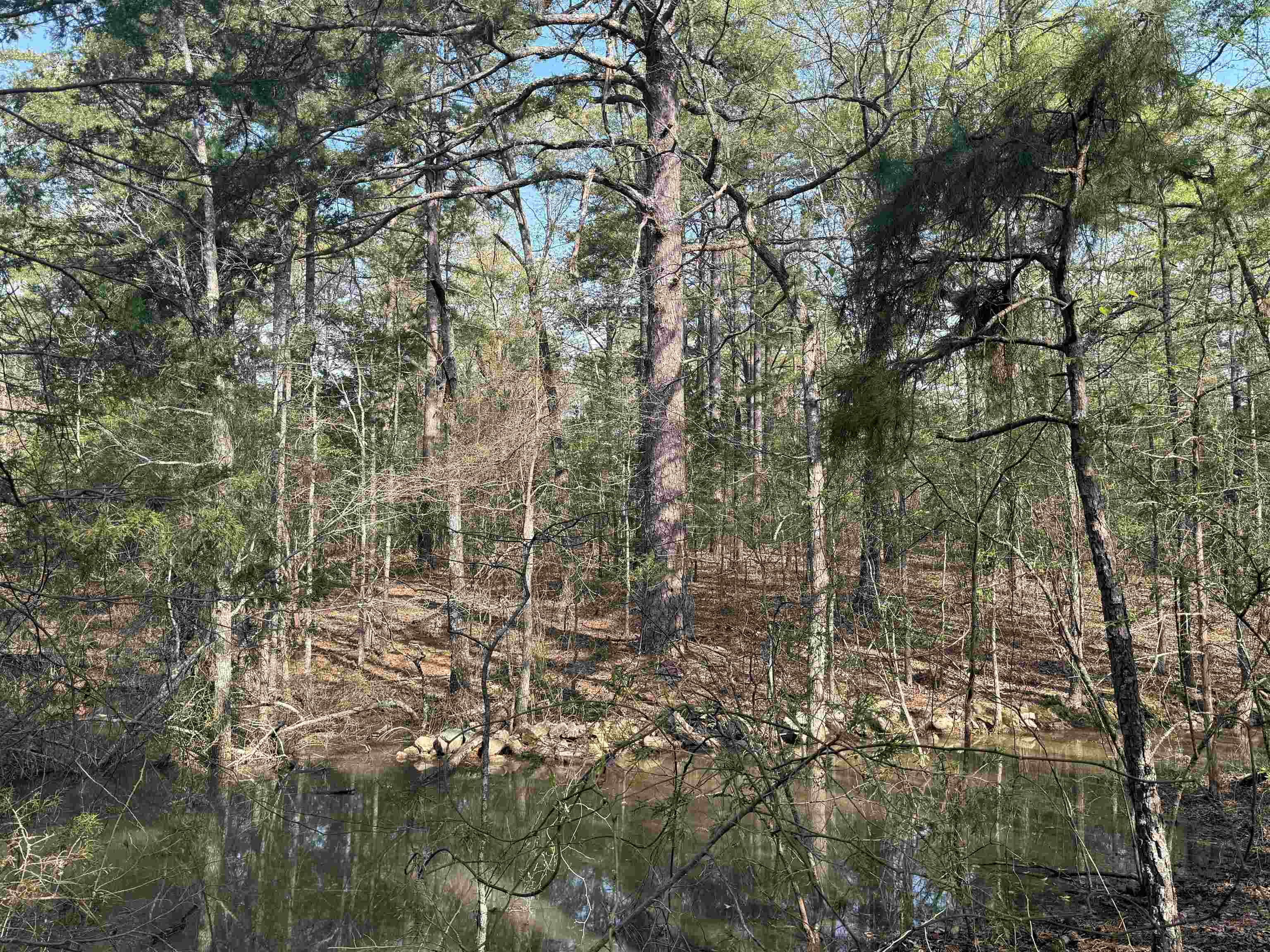 1314 Shoemaker Road Property Photo 6