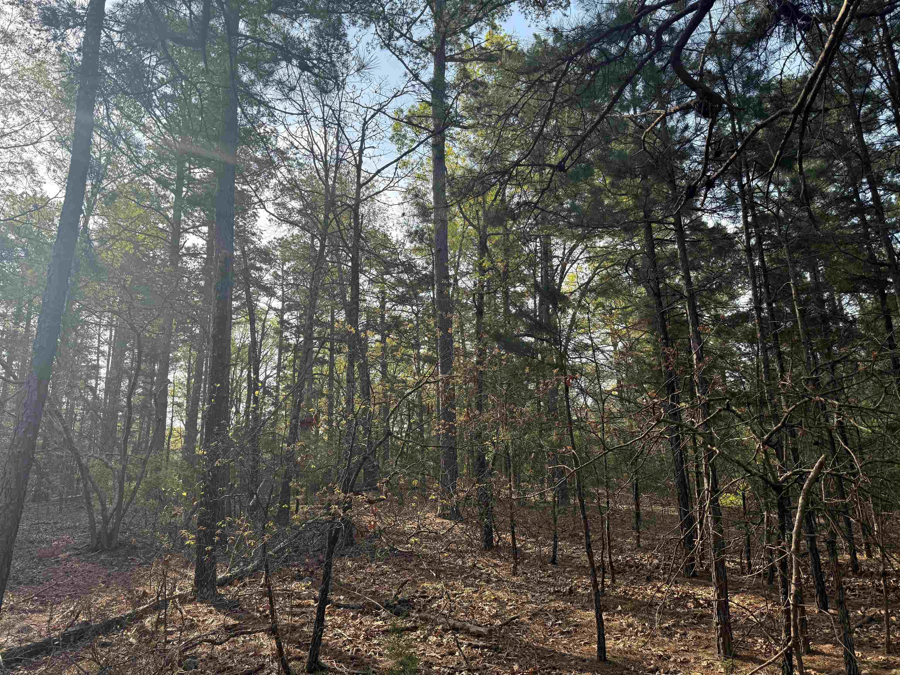 1314 Shoemaker Road Property Photo 7