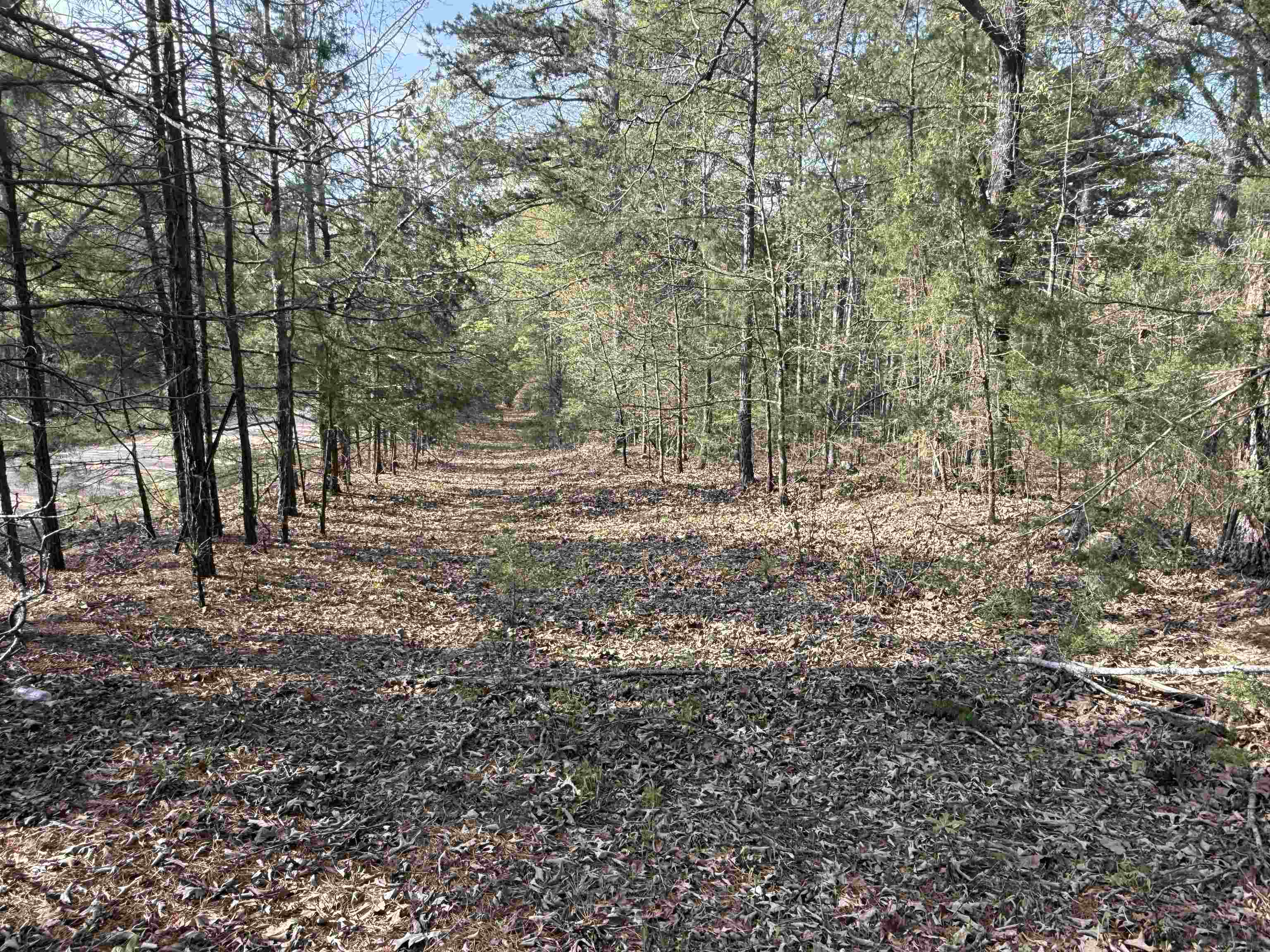 1314 Shoemaker Road Property Photo 8