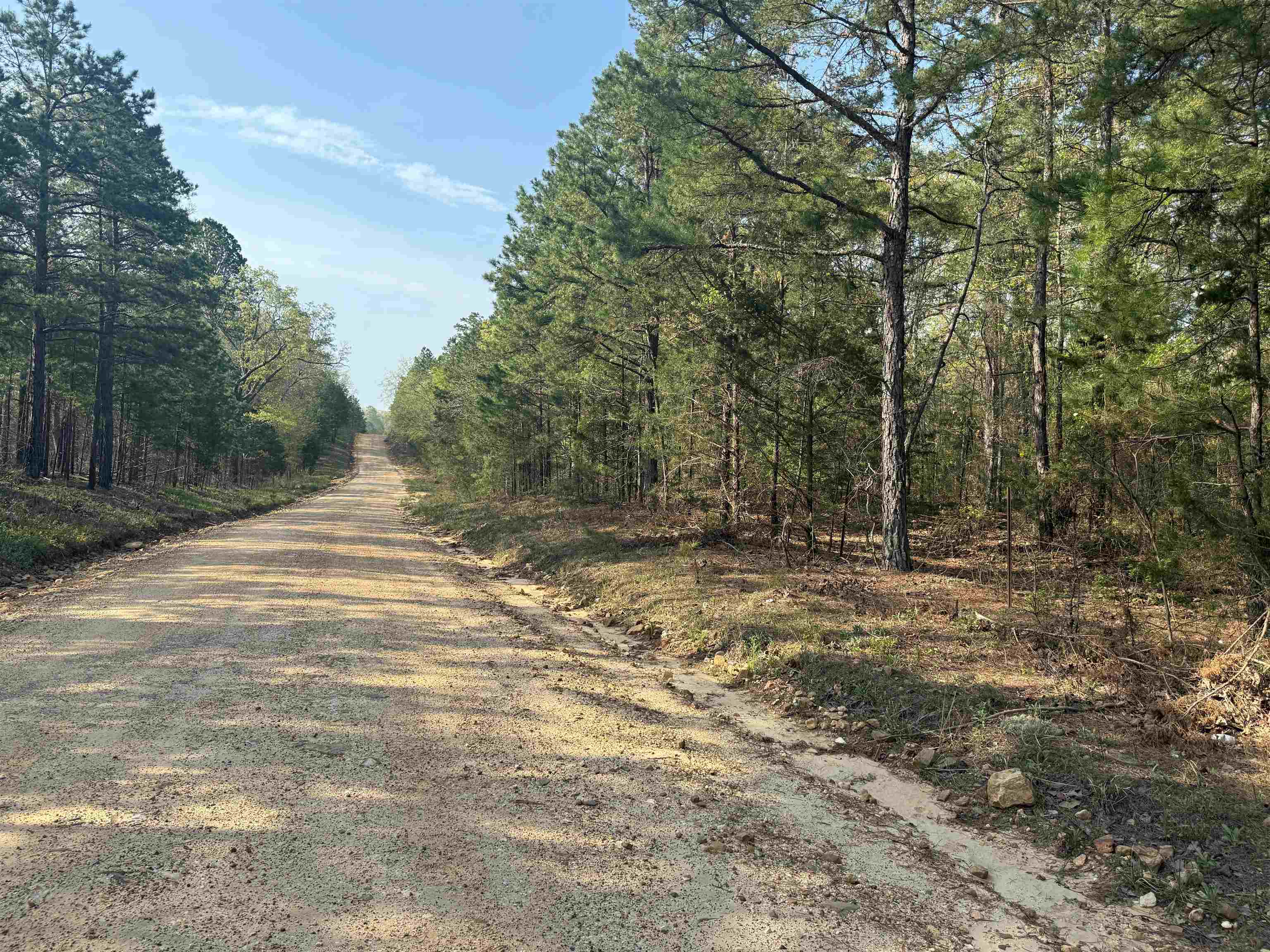 1314 Shoemaker Road Property Photo 10
