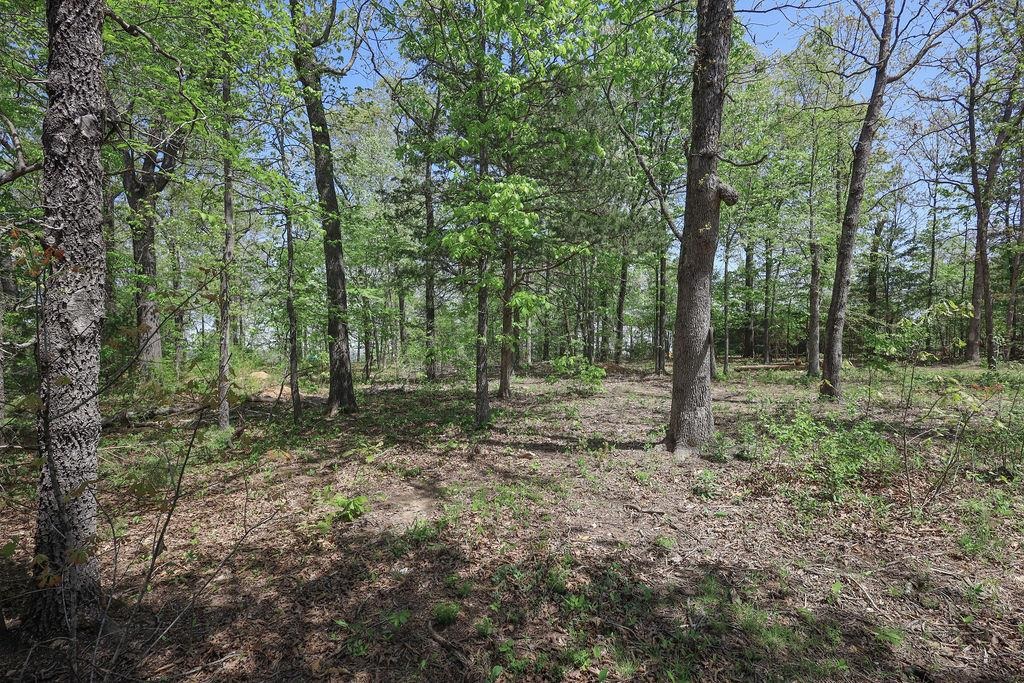 732 Mc 7031 Property Photo 10