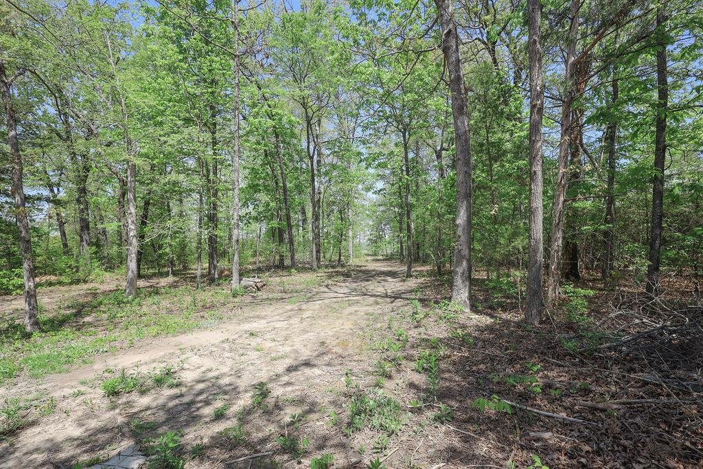 732 Mc 7031 Property Photo 15