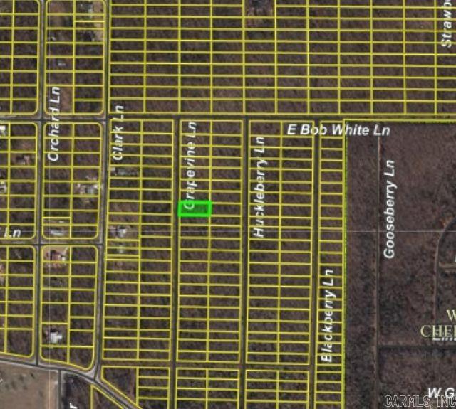 1206 Grapevine Ln Property Photo 1