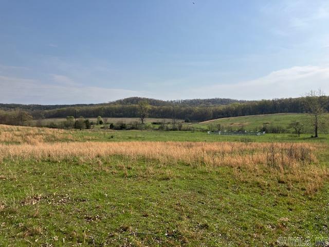 Tbd Ripley Rt V Property Photo 3