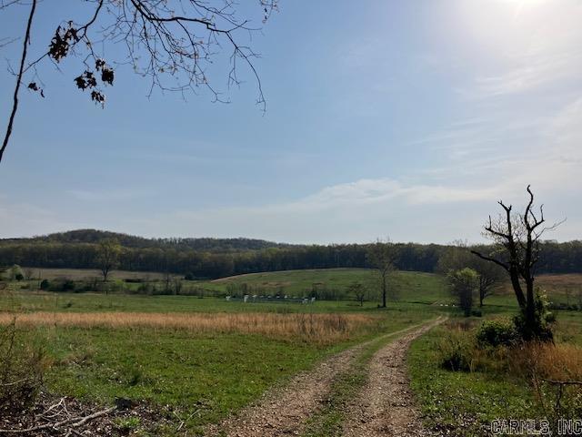 Tbd Ripley Rt V Property Photo 4