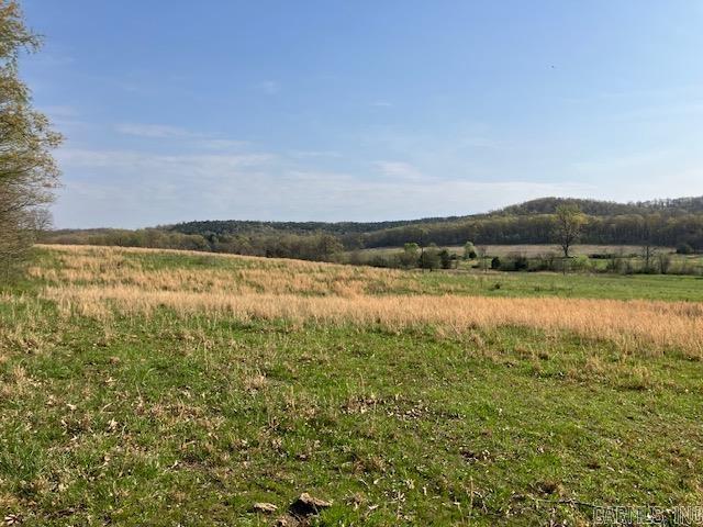 Tbd Ripley Rt V Property Photo 5