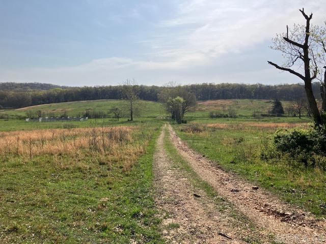 Tbd Ripley Rt V Property Photo 6
