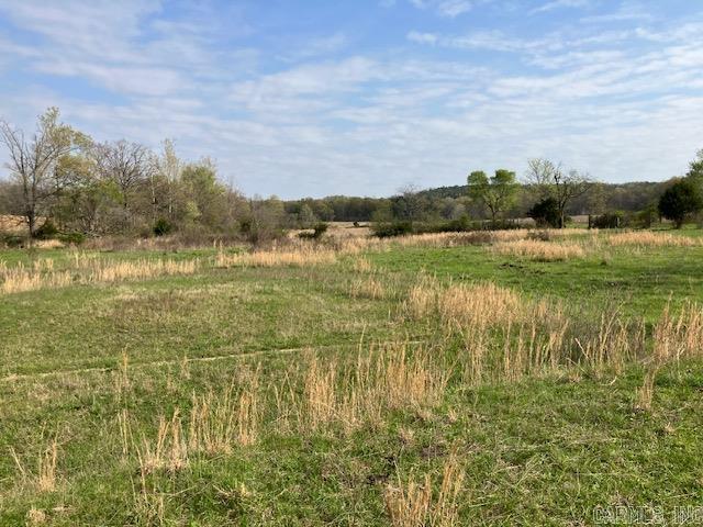 Tbd Ripley Rt V Property Photo 11