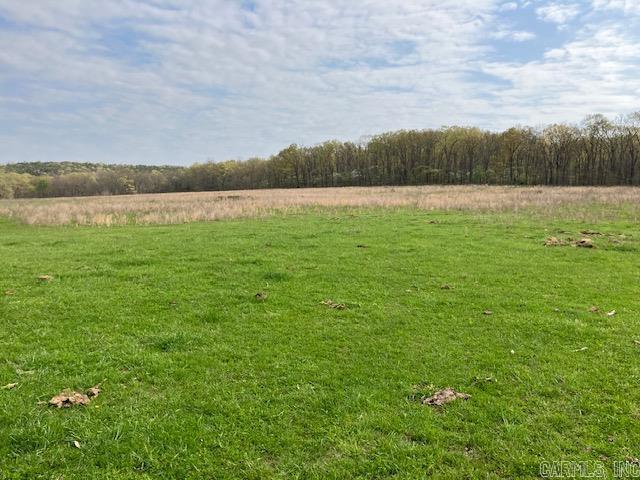 Tbd Ripley Rt V Property Photo 16