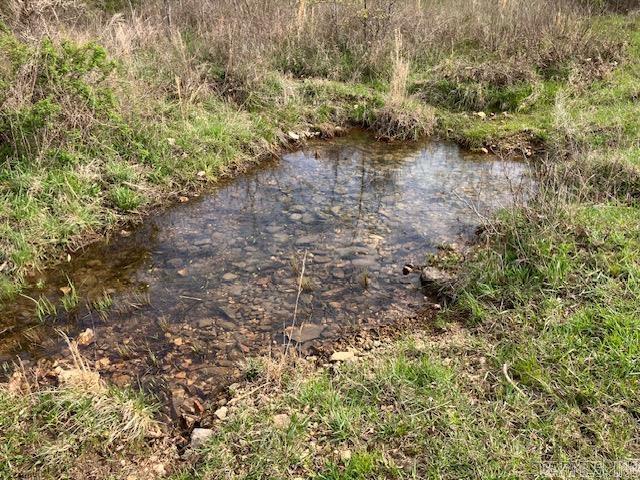 Tbd Ripley Rt V Property Photo 17