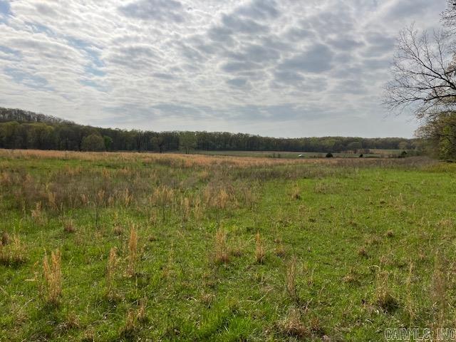 Tbd Ripley Rt V Property Photo 20