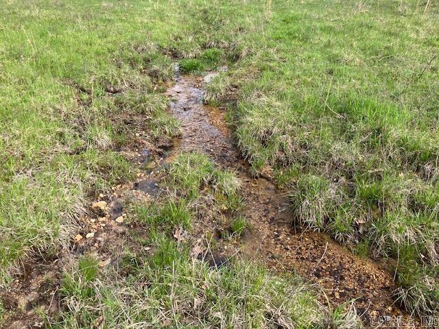 Tbd Ripley Rt V Property Photo 24