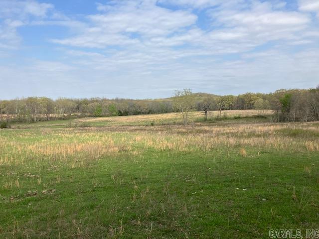 Tbd Ripley Rt V Property Photo 27