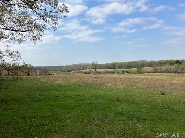 Tbd Ripley Rt V Property Photo 28