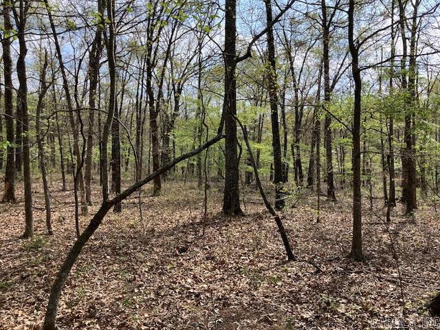 Tbd Ripley Rt V Property Photo 29