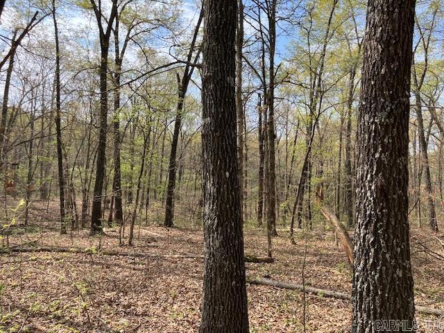 Tbd Ripley Rt V Property Photo 30