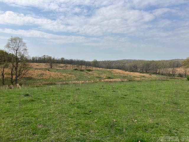 Tbd Ripley Rt V Property Photo 32