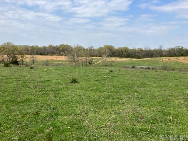 Tbd Ripley Rt V Property Photo 33
