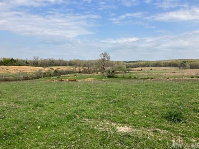 Tbd Ripley Rt V Property Photo 34