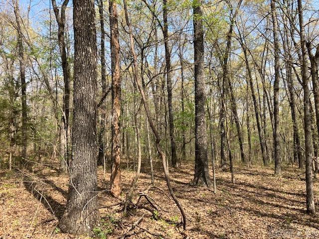 Tbd Ripley Rt V Property Photo 35