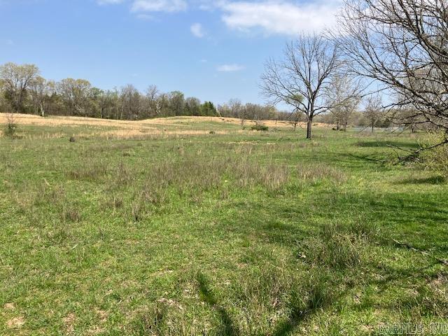 Tbd Ripley Rt V Property Photo 42