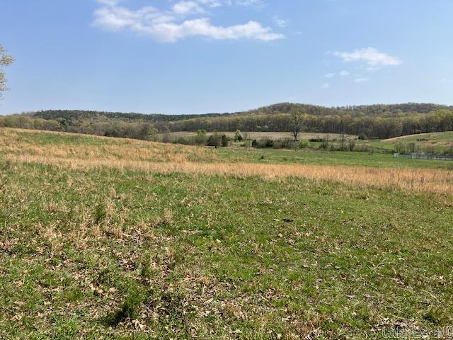 Tbd Ripley Rt V Property Photo 45