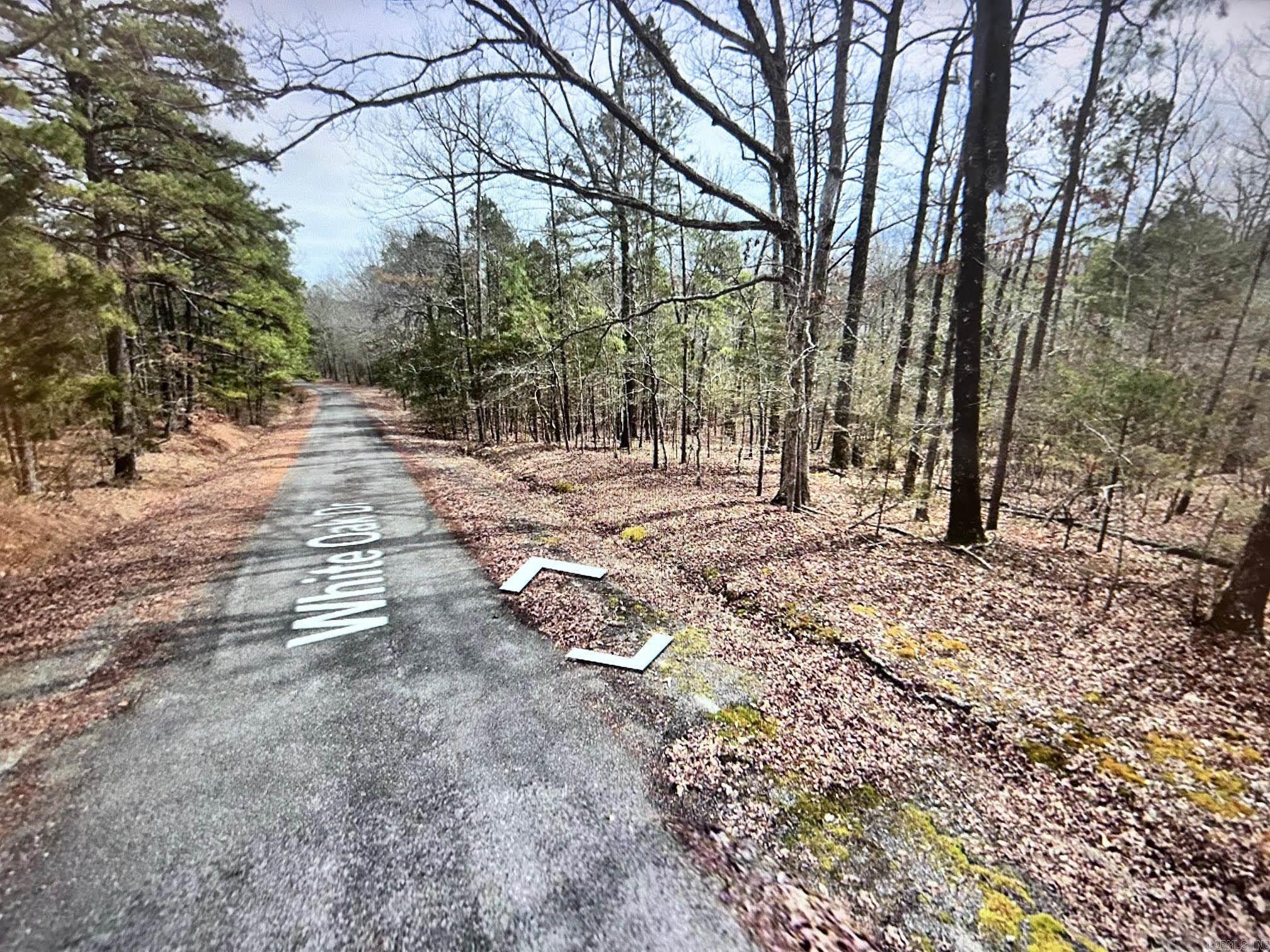 Lot 55 White Oak Drive Property Photo 1
