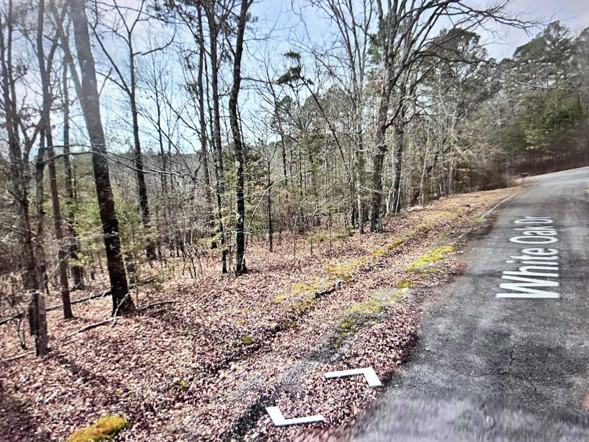 Lot 55 White Oak Drive Property Photo 2