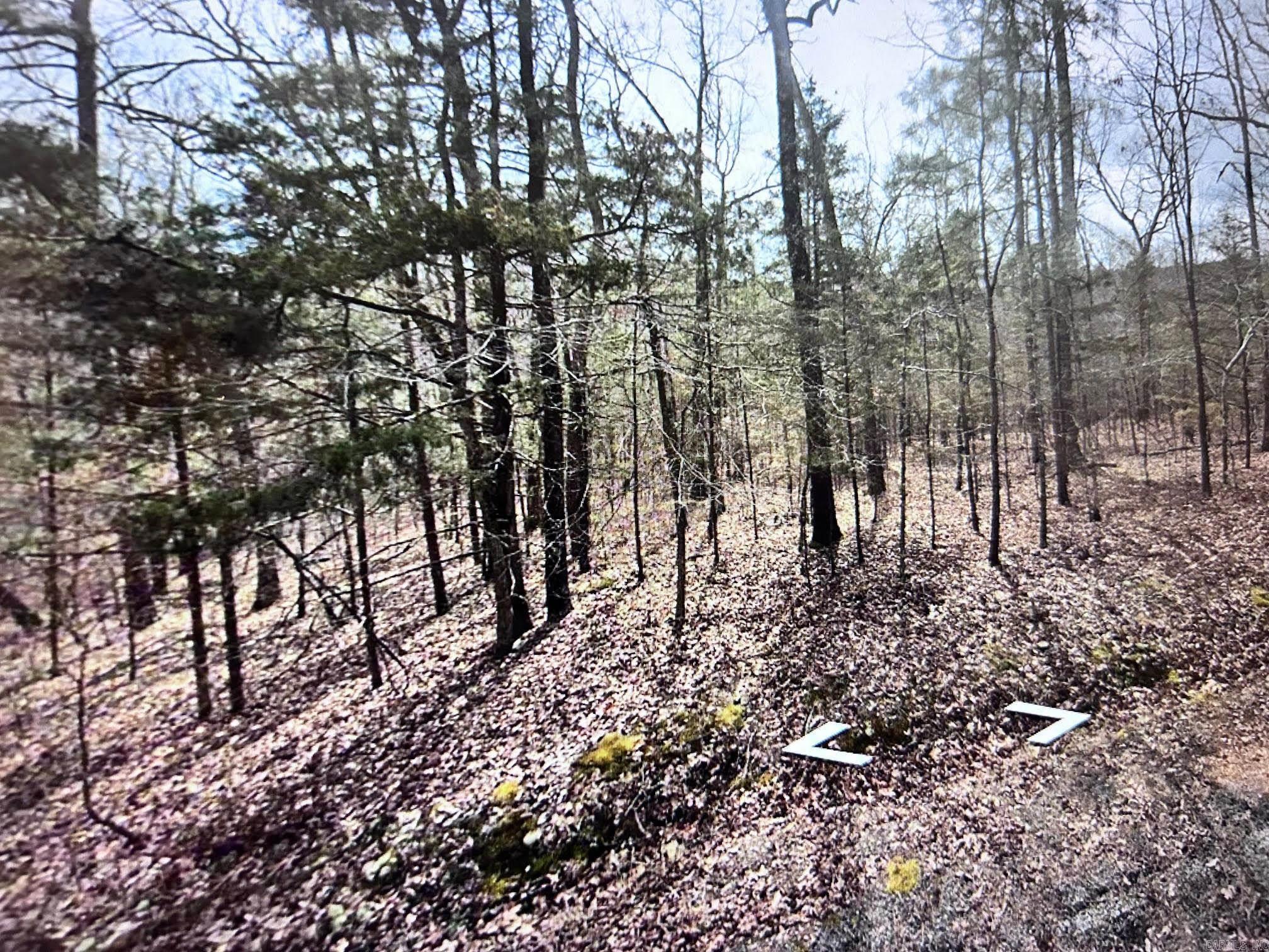 Lot 55 White Oak Drive Property Photo 5