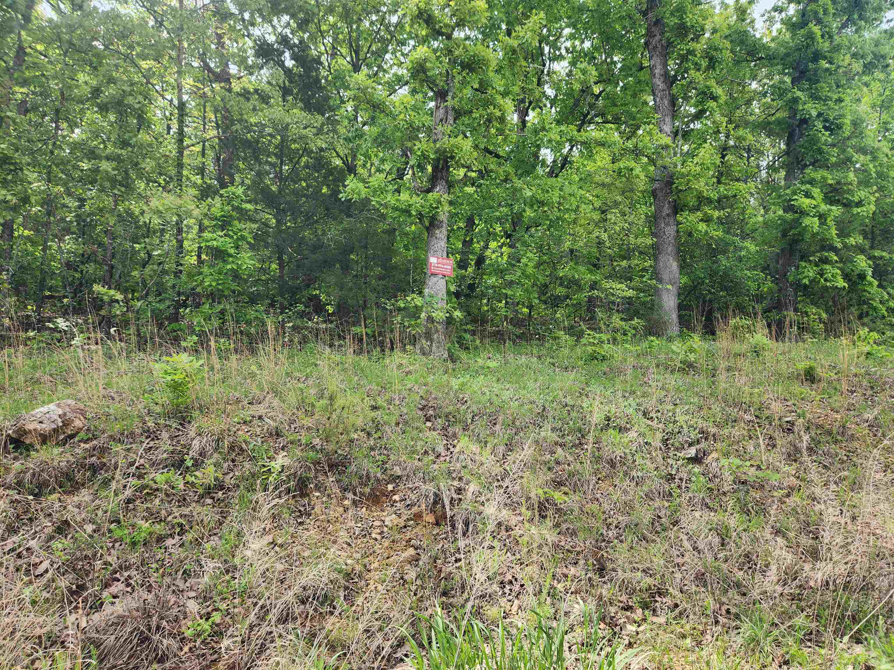 Waubansia Drive Property Photo 4
