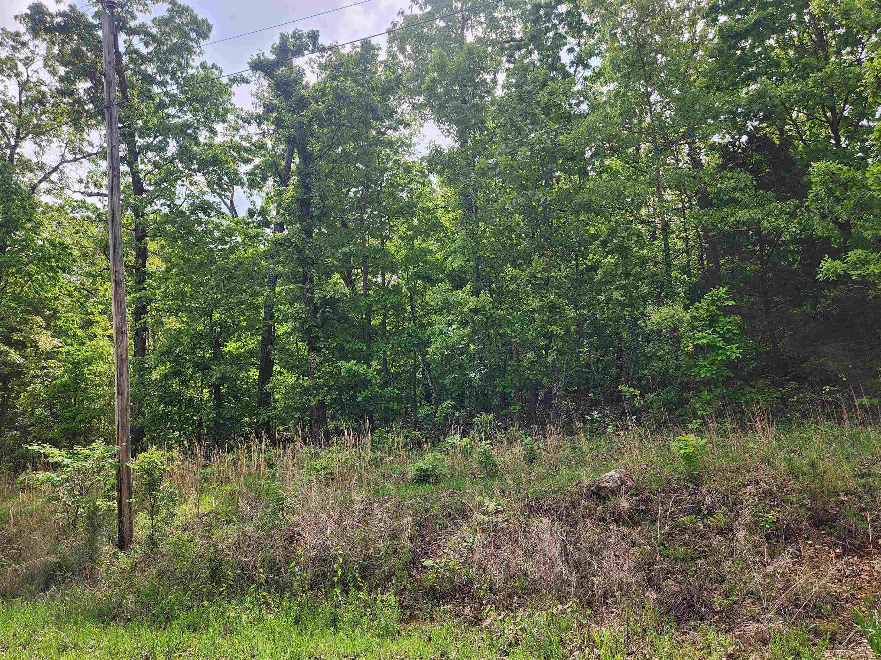 Waubansia Drive Property Photo 8