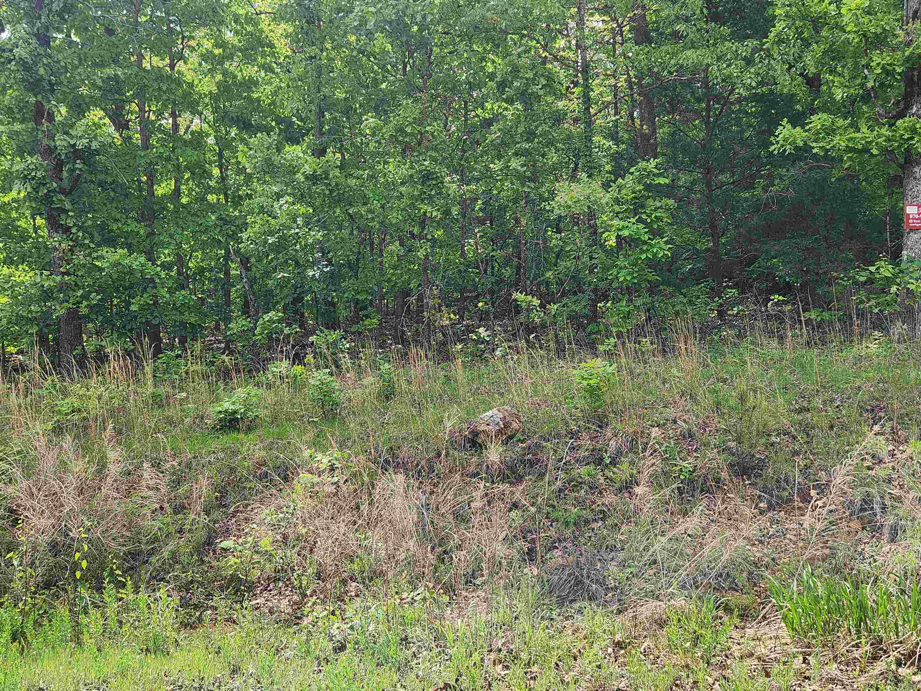Waubansia Drive Property Photo 12