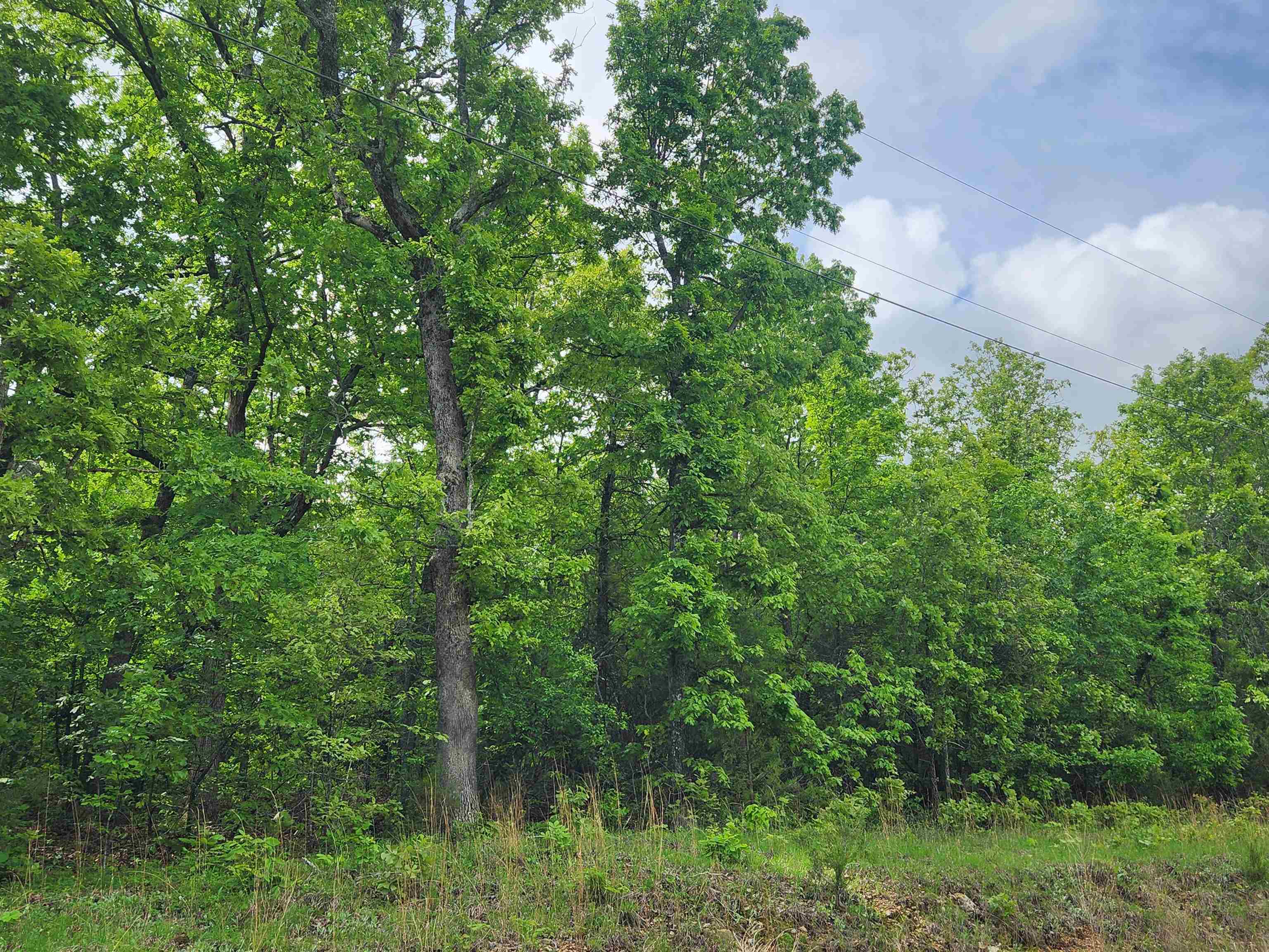 Waubansia Drive Property Photo 13