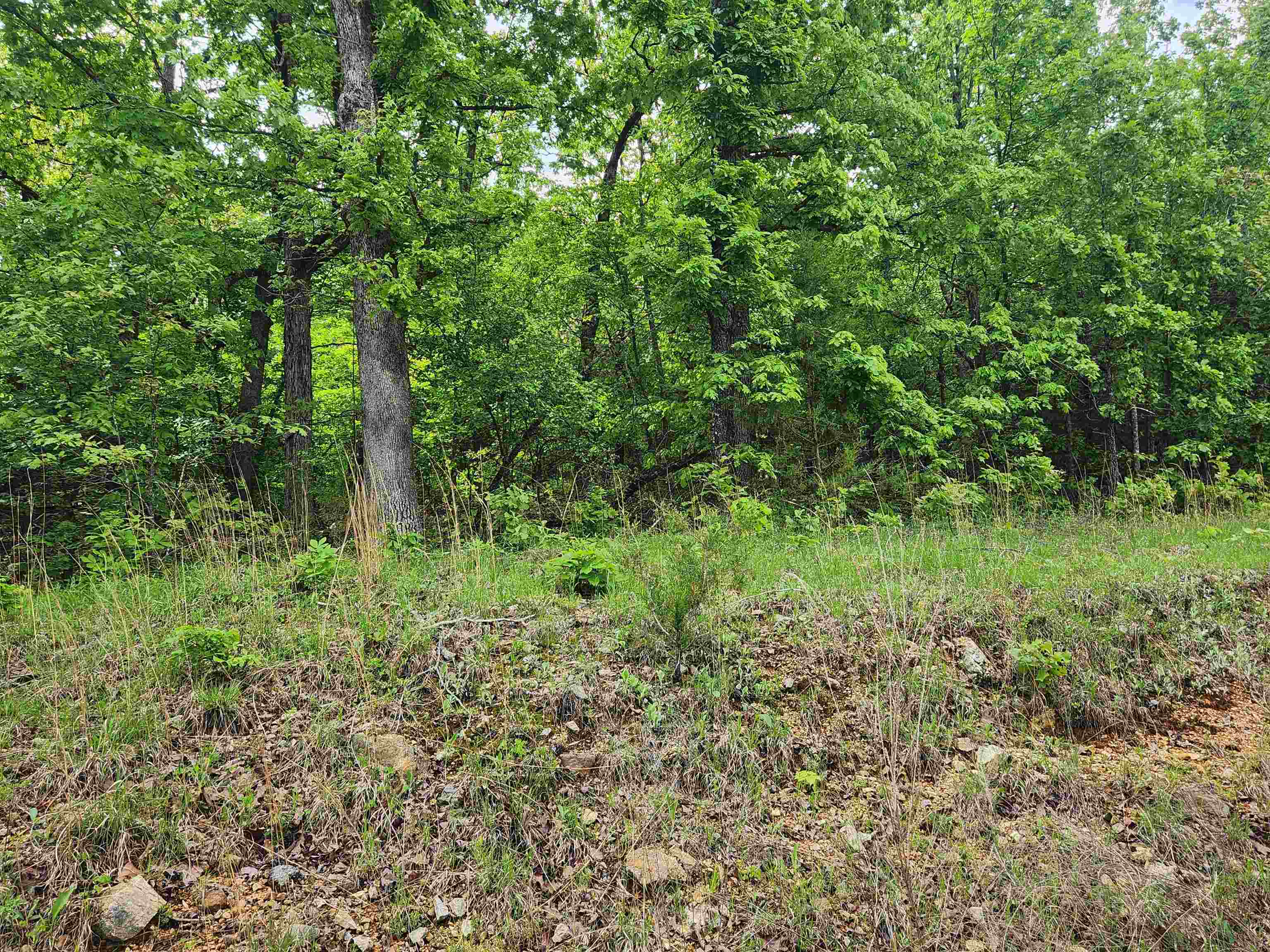 Waubansia Drive Property Photo 16