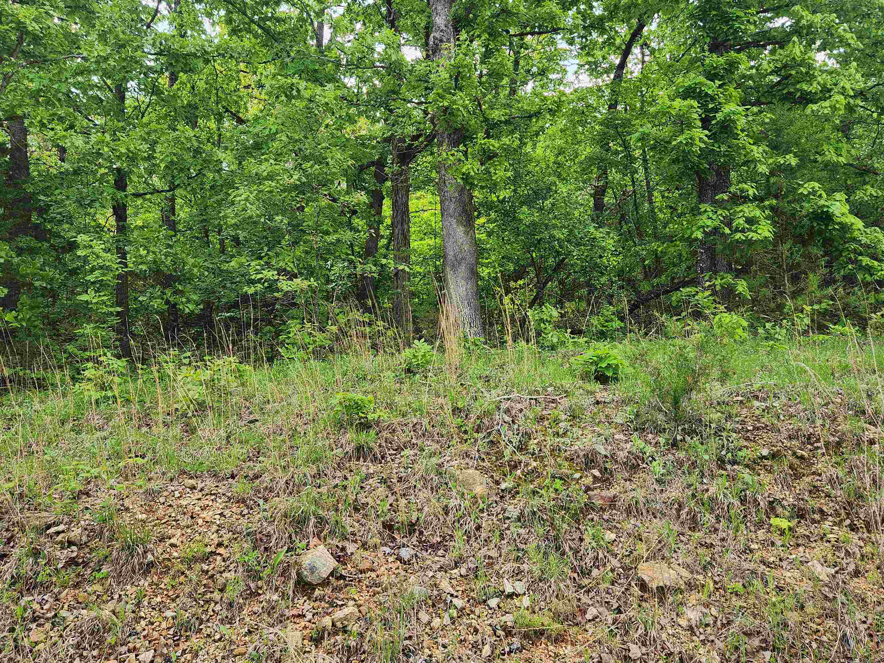Waubansia Drive Property Photo 17