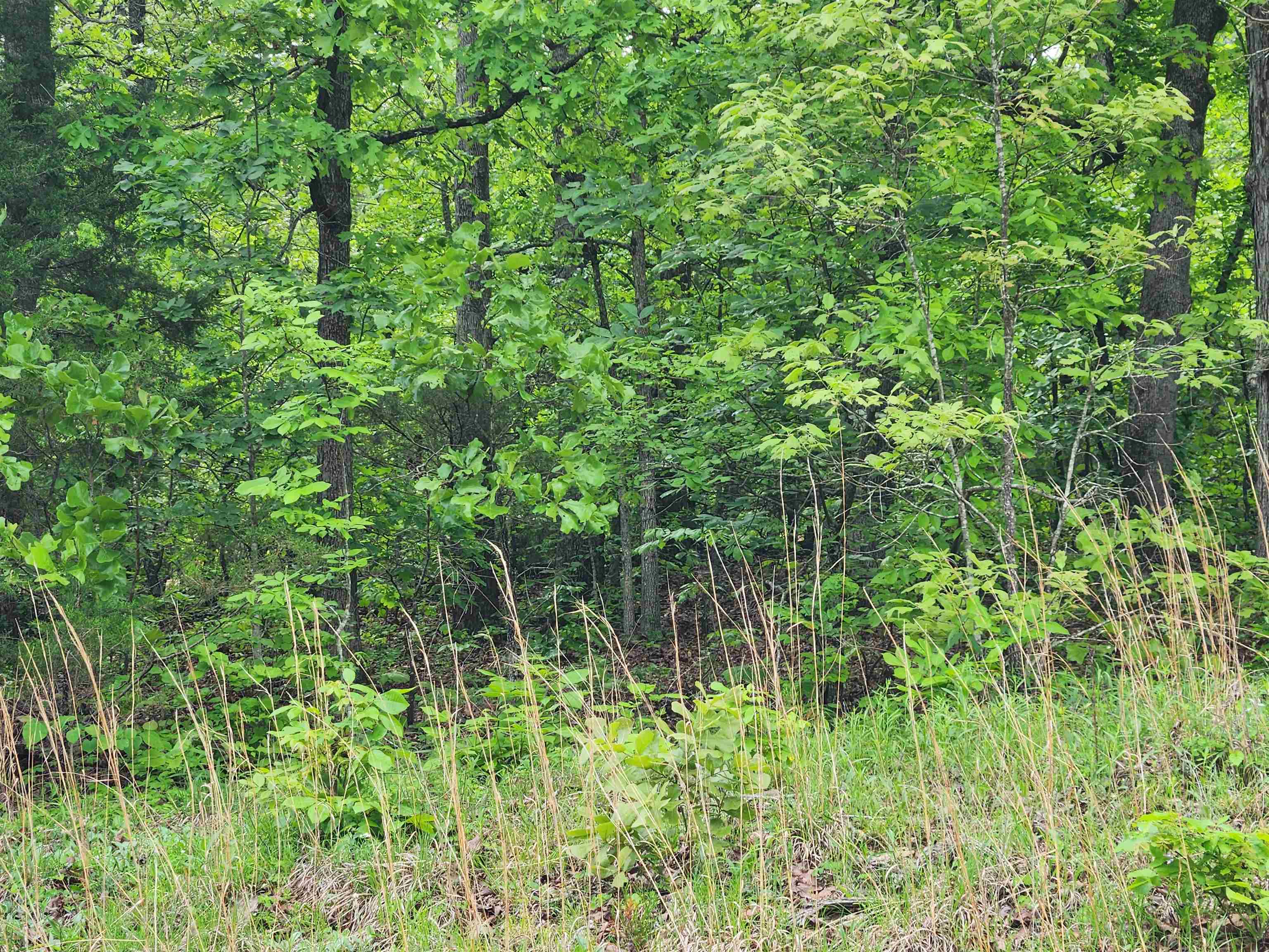 Waubansia Drive Property Photo 18
