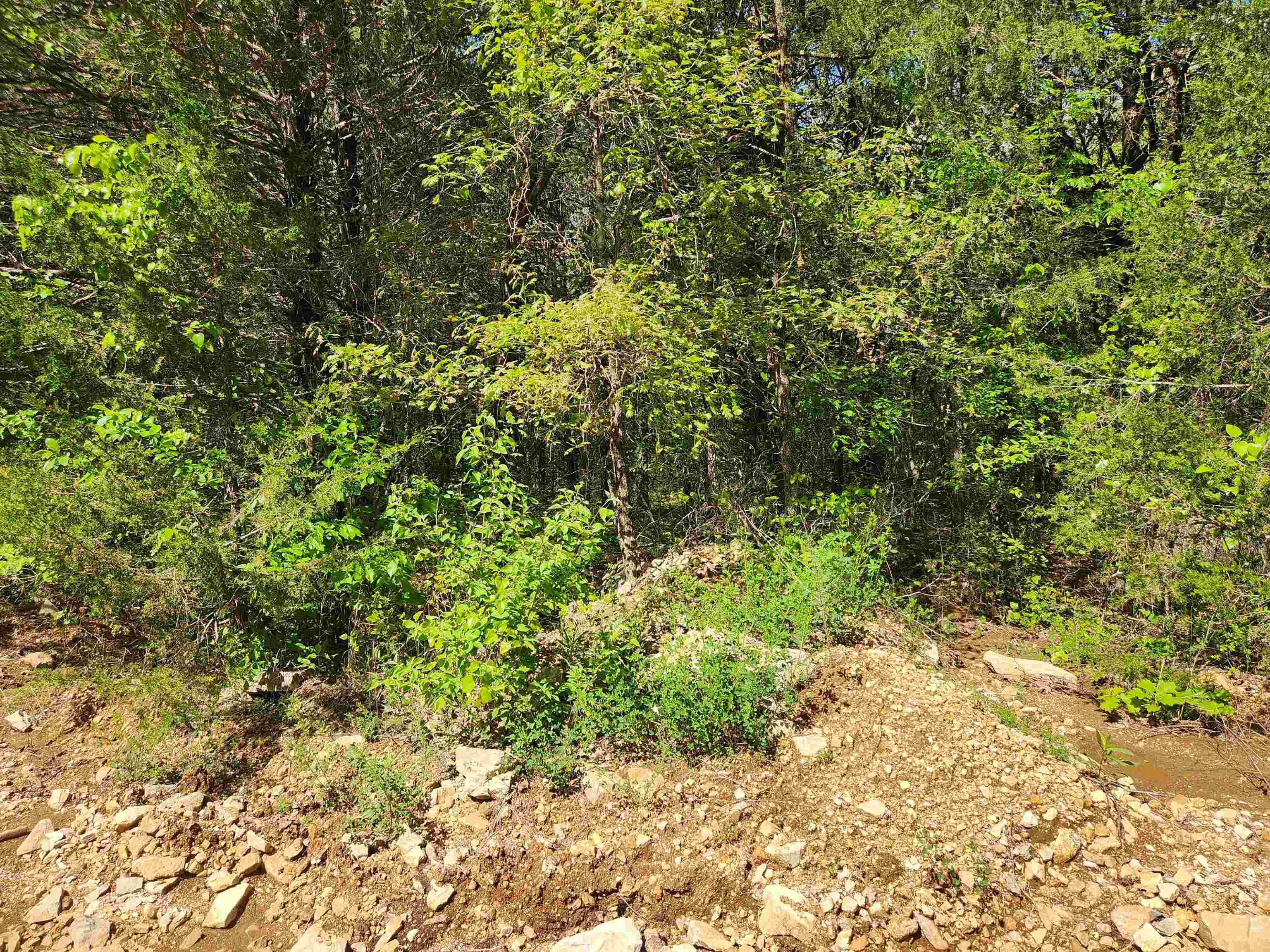 Strawberry Valley Road Property Photo 7